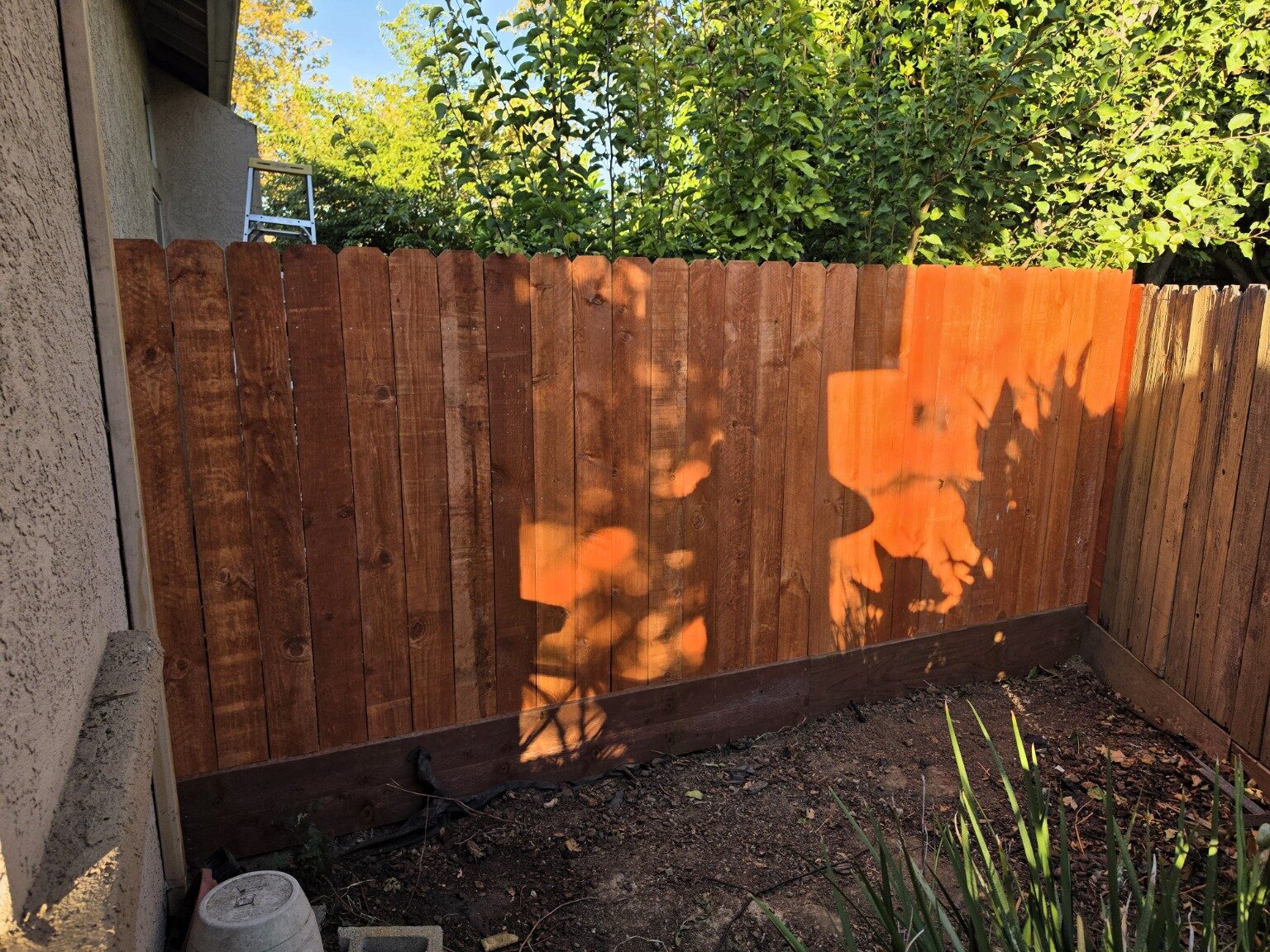 Fence after