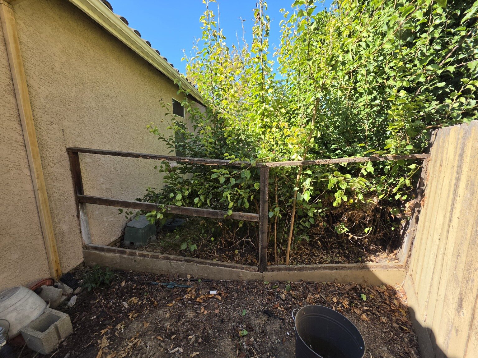 Fence during